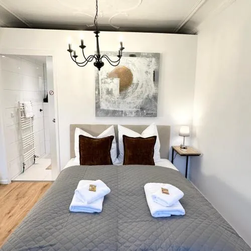 BELLA - Business&Family Ap 2, 100m zum Konzerteingang Schloß, Parkplatz, Smart TV, Netflix, Waschmaschine, 24h Checkin, 30 qm in Ludwigsburg, Deutschland