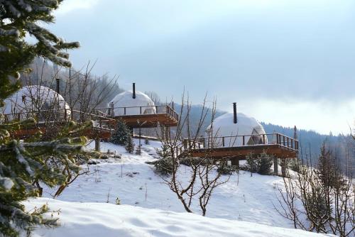 Навколишнє середовище, Zenzia Glamping Adult Only in Пятра Нямц