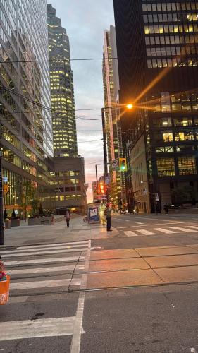 Central Downtown New Year Stay- Self Checkin & Free Wifi in Toronto (ON)