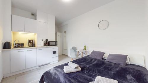 Studio Fibra Choco - Rybnik