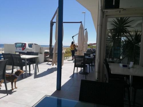 Chalet del Sol - Villa Giulia