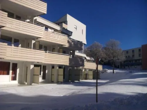 Apartment Sonnenschein in Sankt Englmar by Interhome in Sankt Englmar, Deutschland