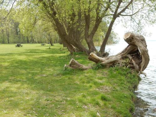 Holiday Home Luise by Interhome in Dobin am See
