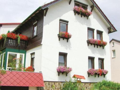 Apartment Siegmund by Interhome in Fischbach, Deutschland