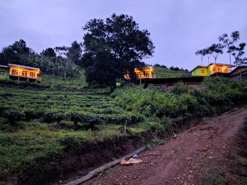Amajani Gorilla Lodge in Kanungu