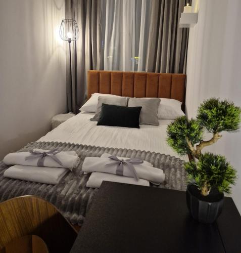 Apartament 37 - with free parking - Torun