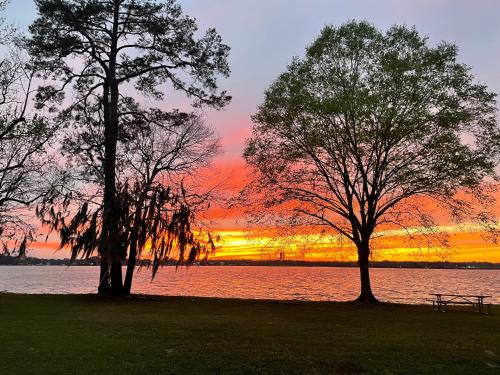 Lake Blackshear Resort Golf Club 2