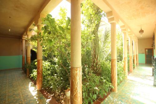 숙소 외관, Kasbah Hotel Camping Jurassique in 에라시디아