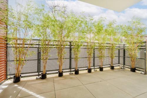 Charmant T3 confort in Saint-Jean