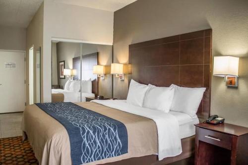 Comfort Inn Sandusky - image 7