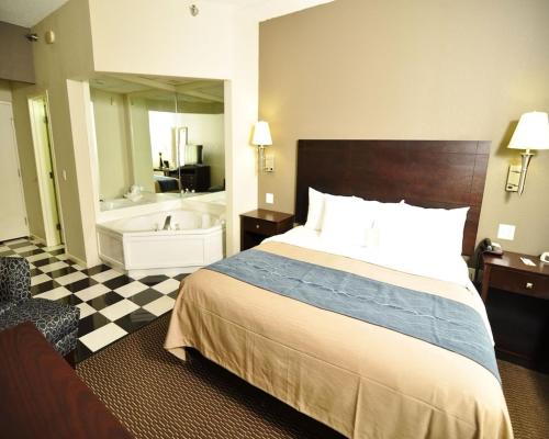 Comfort Inn Sandusky - image 10
