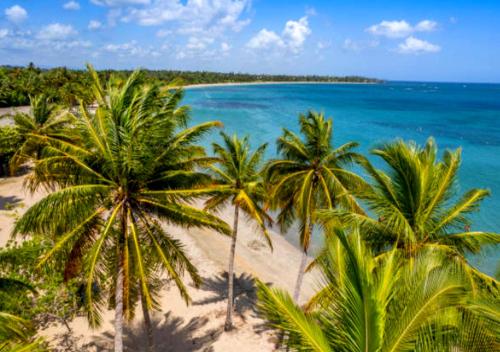 沙灘, Dorado Costa De Oro Beach 2 Bedroom Oceanfront by Rentalspr in 多拉多