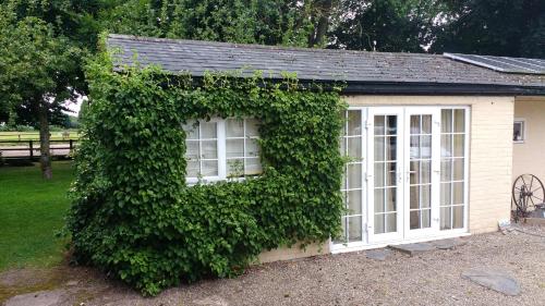 Beech Hill B&B