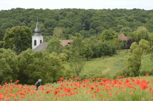Fustos Cottage Gomorszolos in Örkény
