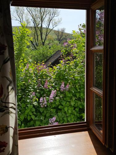 Fustos Cottage Gomorszolos in Örkény