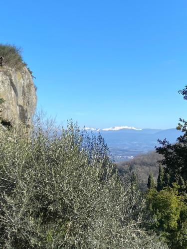 A környék, Locanda delle fonti in Bassano in Teverina