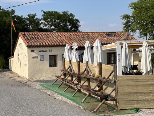 Hostal la Colmena 2