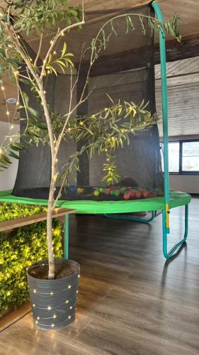 Prime House in Aramusa