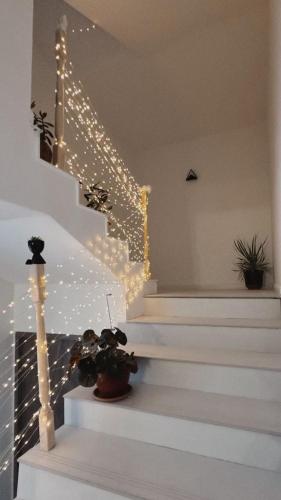 Prime House in Aramusa