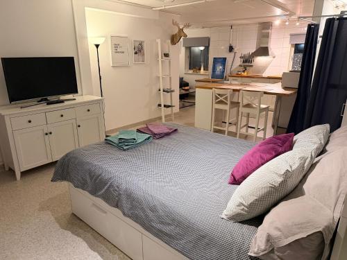 Northern Lights Apartment for Independent Stay in Jukkasjärvi