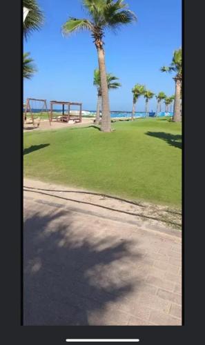 Royal porto said resort chalet in Port Said