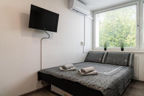 Apartma Nadja, Maribor