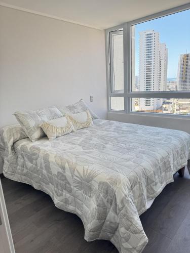 Vista Panoramica a Pasos de Playa Brava Con Piscina y Estacionamiento Techado