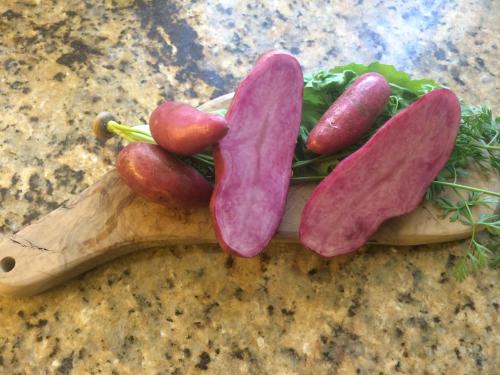 Pension Villa Blumegg - image 5