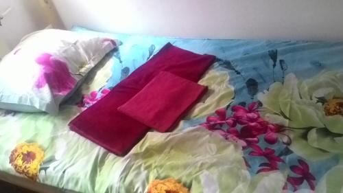 Hostel Travel - image 6