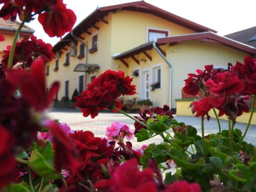 Guest accommodation in Vecsés 