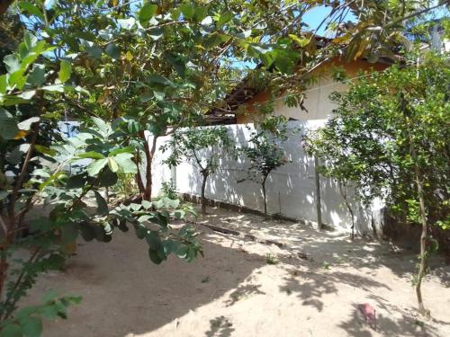 Villa Aloe Vera- Weligama Guest House (Mirissa) - Deals, Photos & Reviews