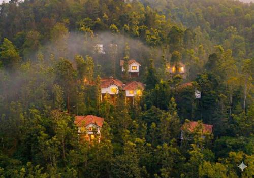 Peter's Coffee Creek Wayanad Pool Resort