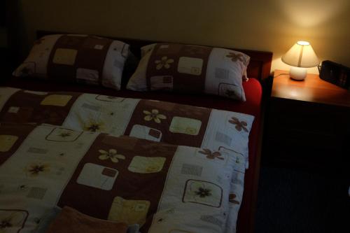 Academus - Cafe/Pub & Guest House - image 6