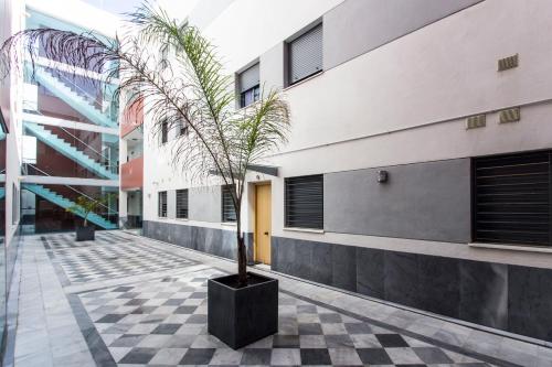 Apartamento PUERTA-CALETA by Cadiz4Rentals - image 10