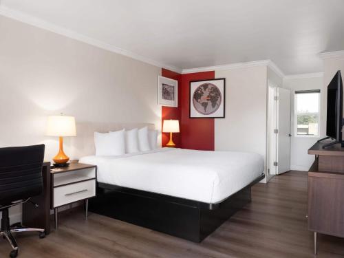 1 king bed