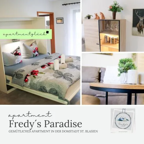 Apt - Fredys Paradise - St Blasien in Schluchsee, Deutschland