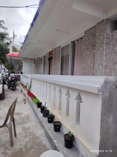 Green Tara Homestay in Lower Mamring Khasmahal