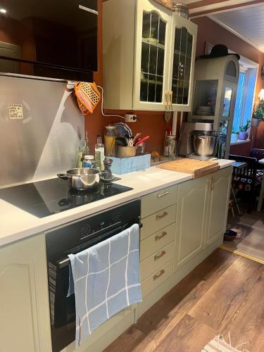 ห้องครัว, Vintage apartment with fresh sea air and pets in คริสเตียนซุนด์