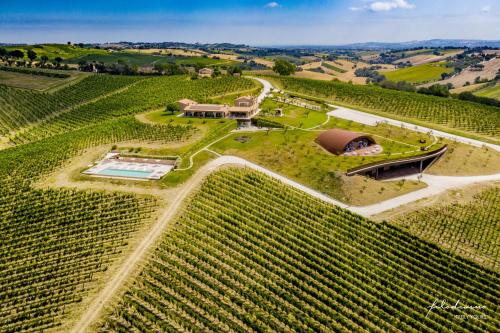 Filodivino Wine Resort & SPA - Jesi