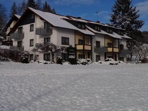 阿爾特穆爾隆酒店 (Rhonhotel Alte Muhle) in 埃貝爾斯堡