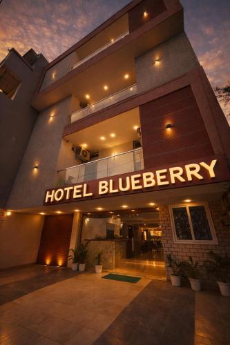 Hotel Blueberry Bhedaghat, Jabalpur