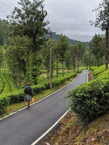Blue mount stay in Gudalur