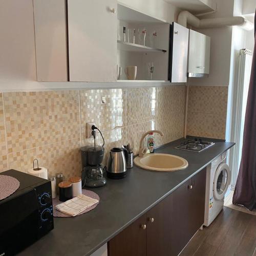 Palas Art Studios - Location saisonnière - Iaşi