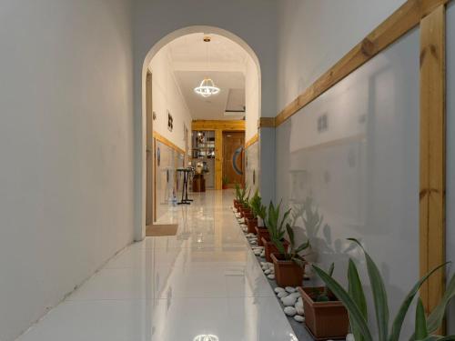 Newsy Inn in Addu-korallzátony