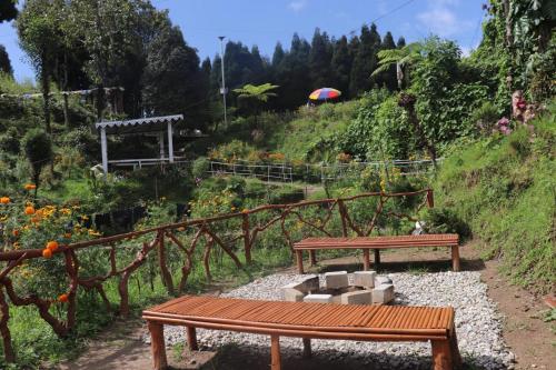 Pine Tree Homestay in Lower Mamring Khasmahal