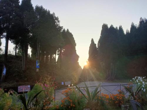 Pine Tree Homestay in Lower Mamring Khasmahal