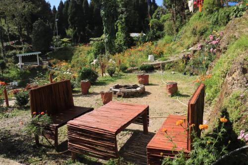 Pine Tree Homestay in Lower Mamring Khasmahal