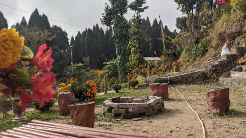 Pine Tree Homestay in Lower Mamring Khasmahal