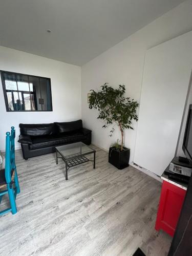 Seadmed, Le Rockastel in Le Caylar