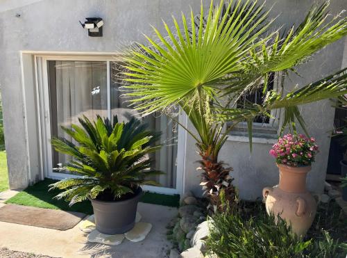 Le Pape - Chambre chambre d'hôte Pavilla